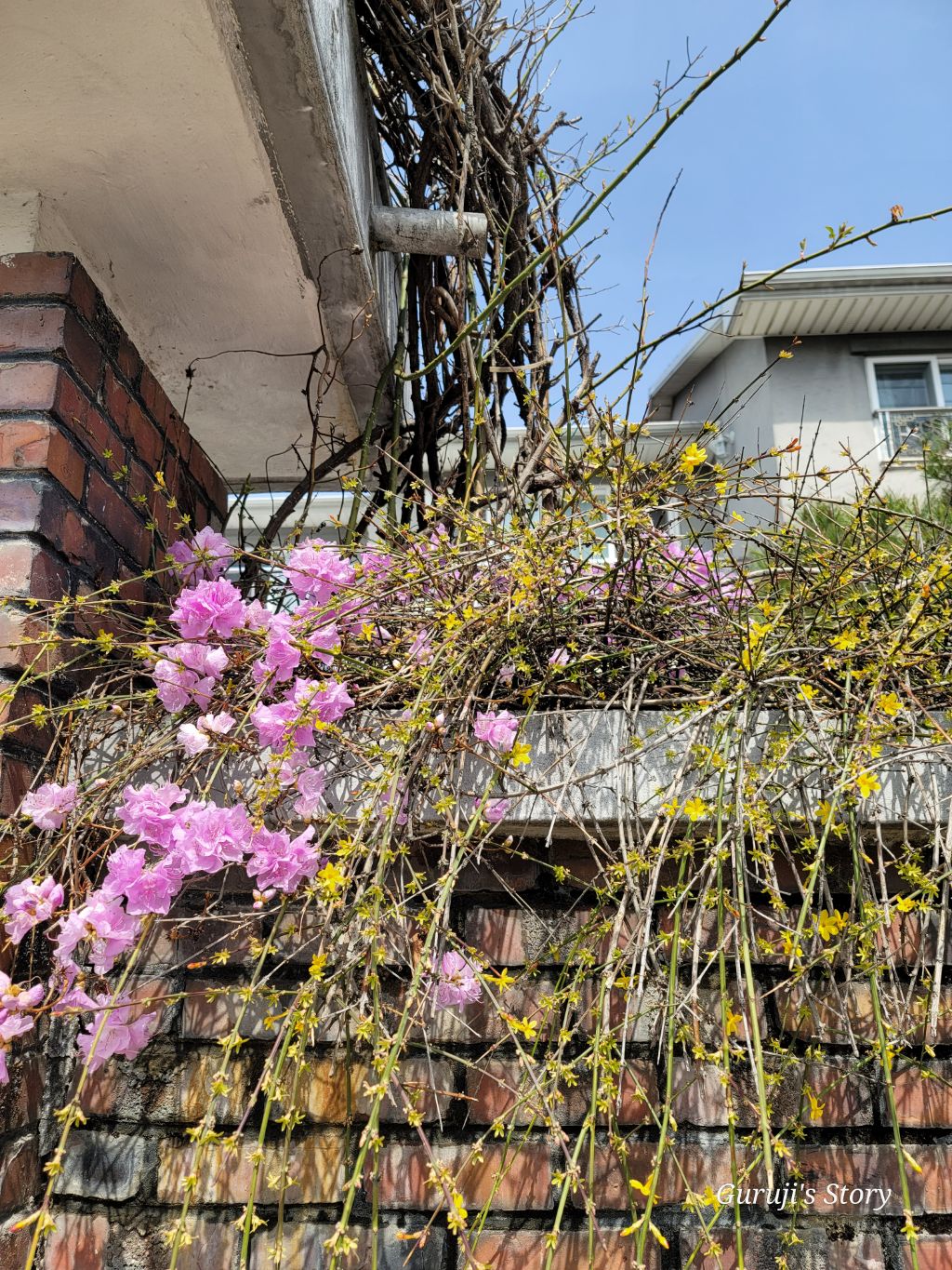 태장밥집 이미지