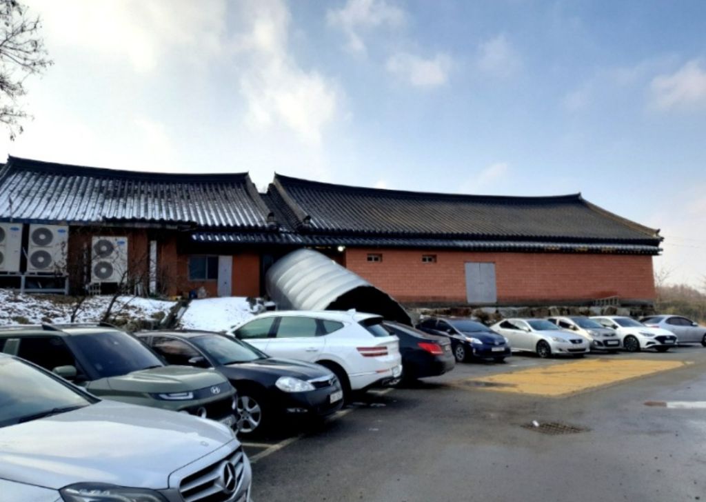 더나무 이미지