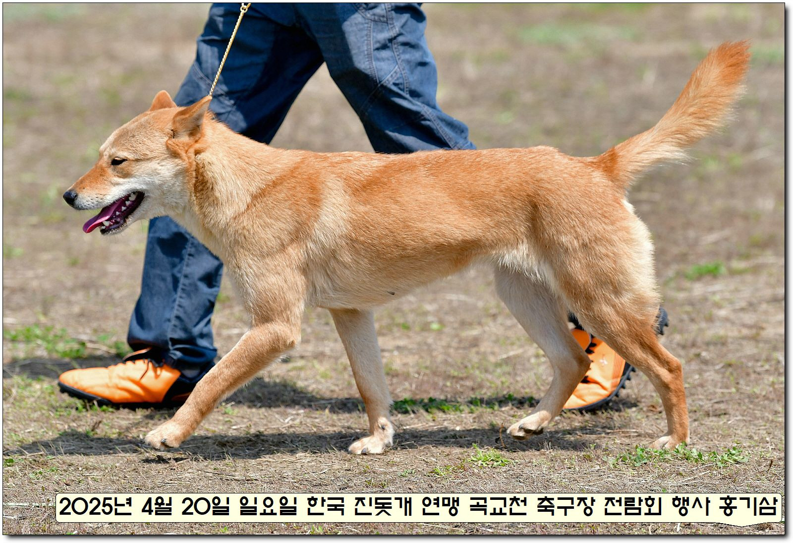 성웅 이미지