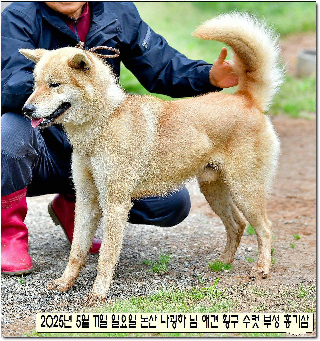 부성식당 이미지