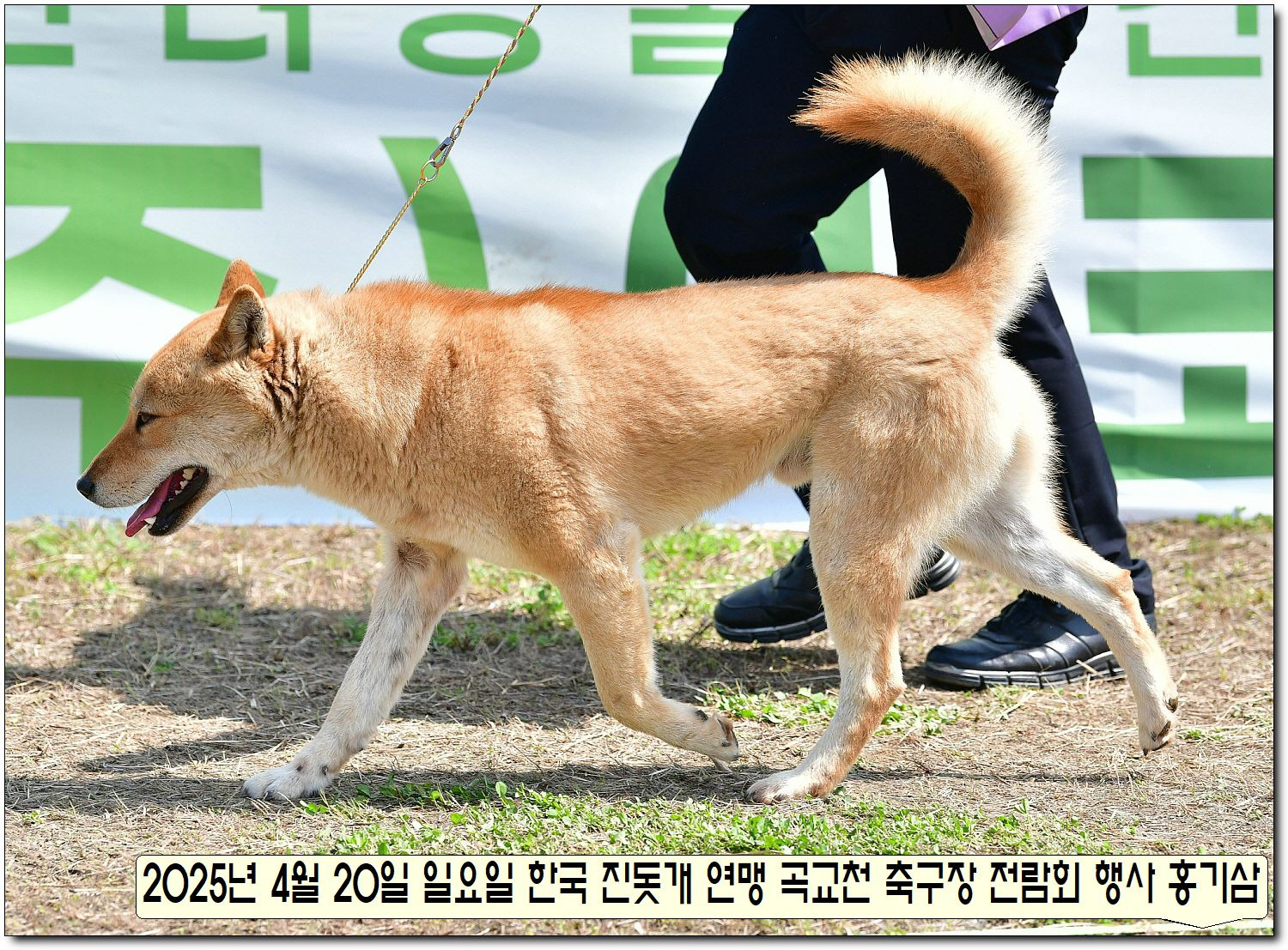 성웅 이미지