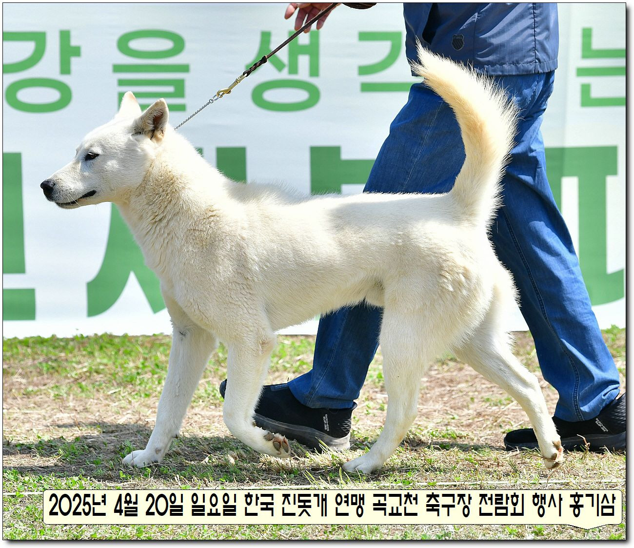 성웅 이미지