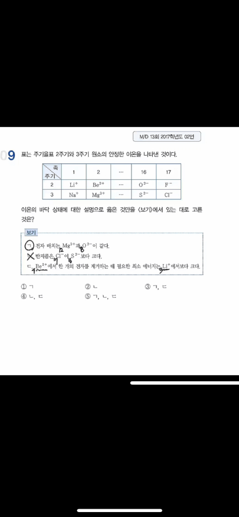 자이온 이미지