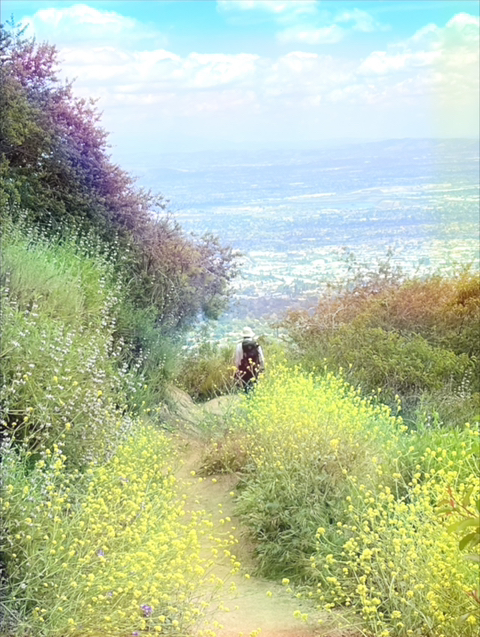 산이야기