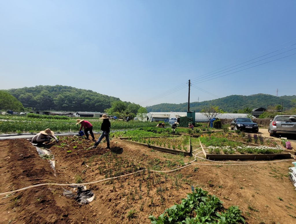 방축동 이미지