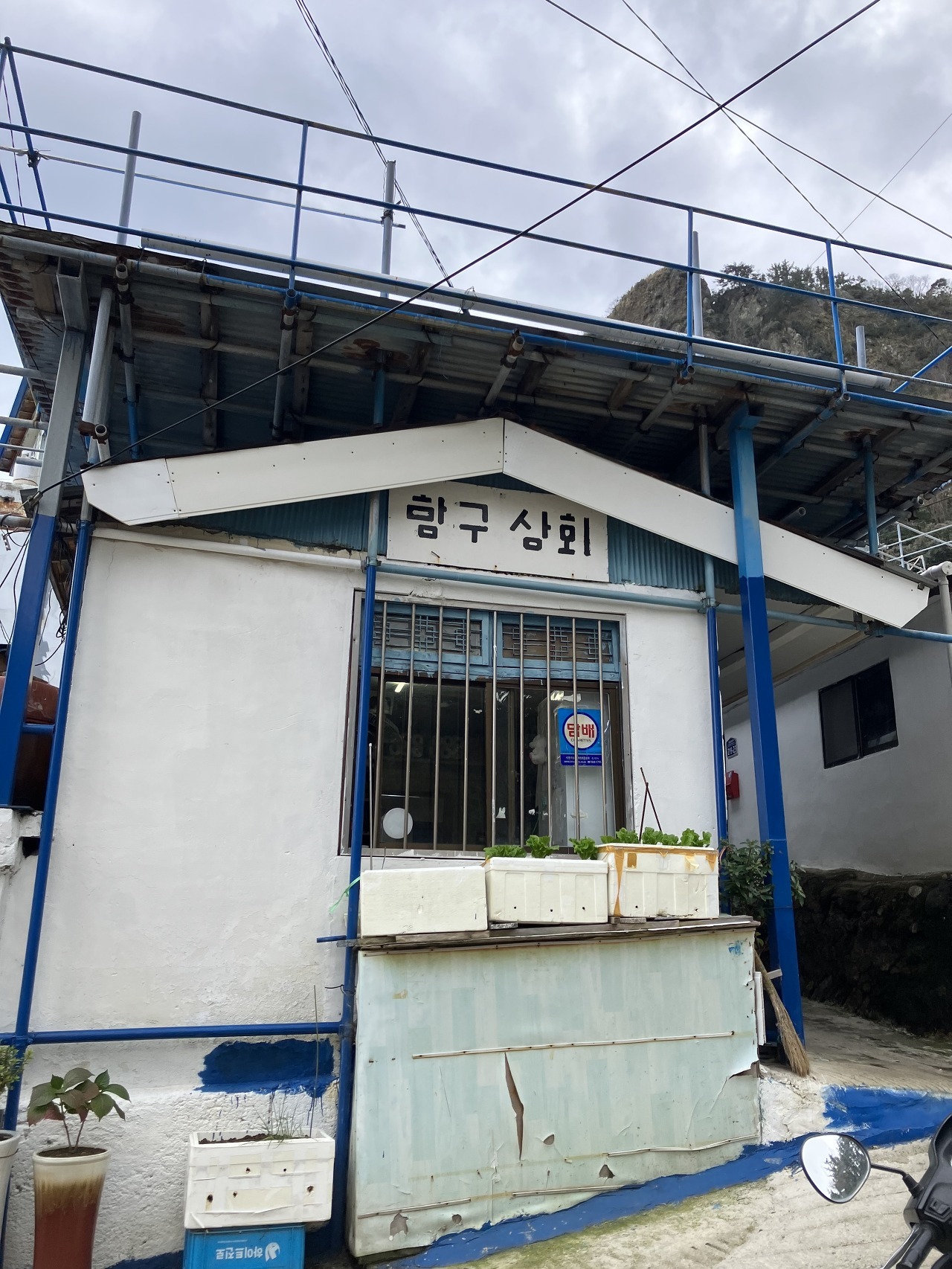 항구상회 이미지