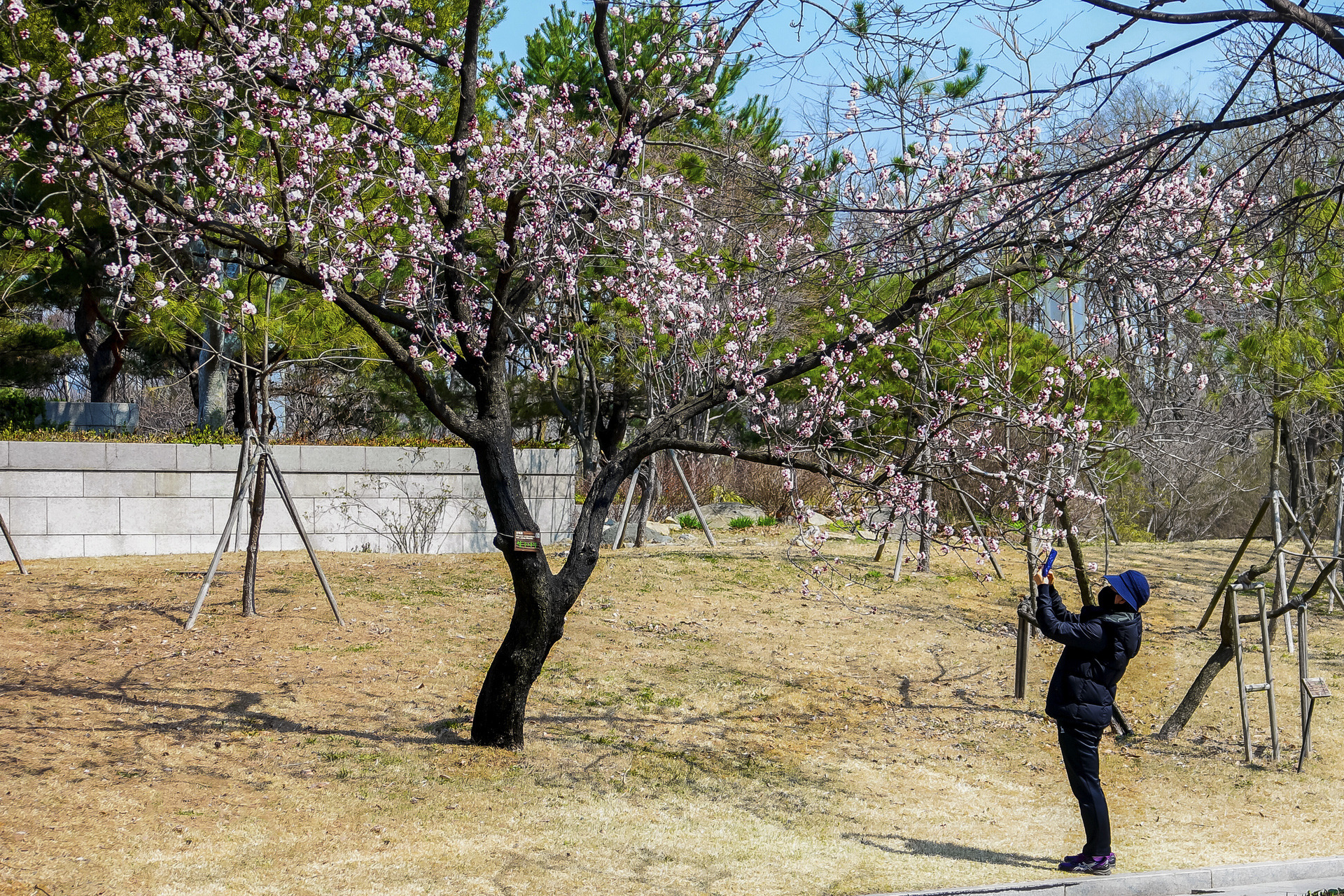 아이뻐라 이미지