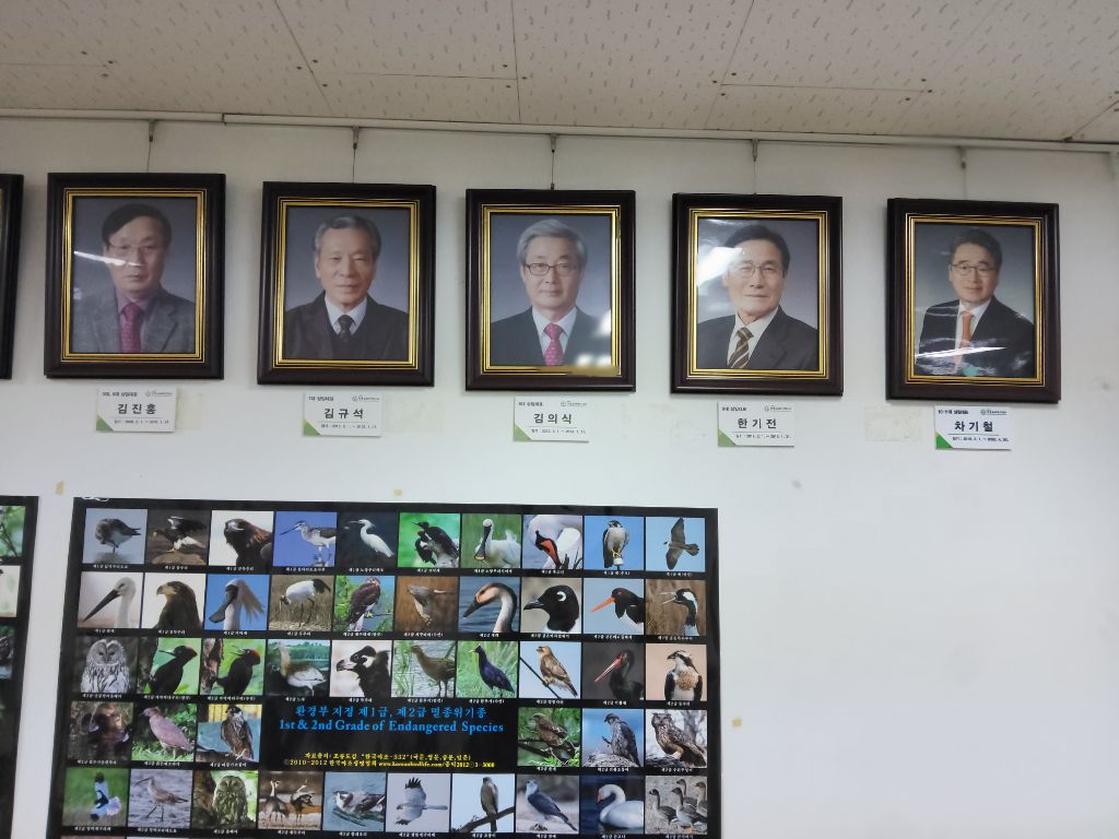 한국숲해설가협회 이미지