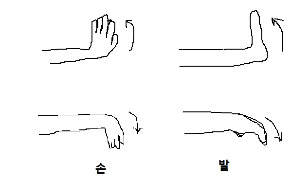 정화양발 이미지