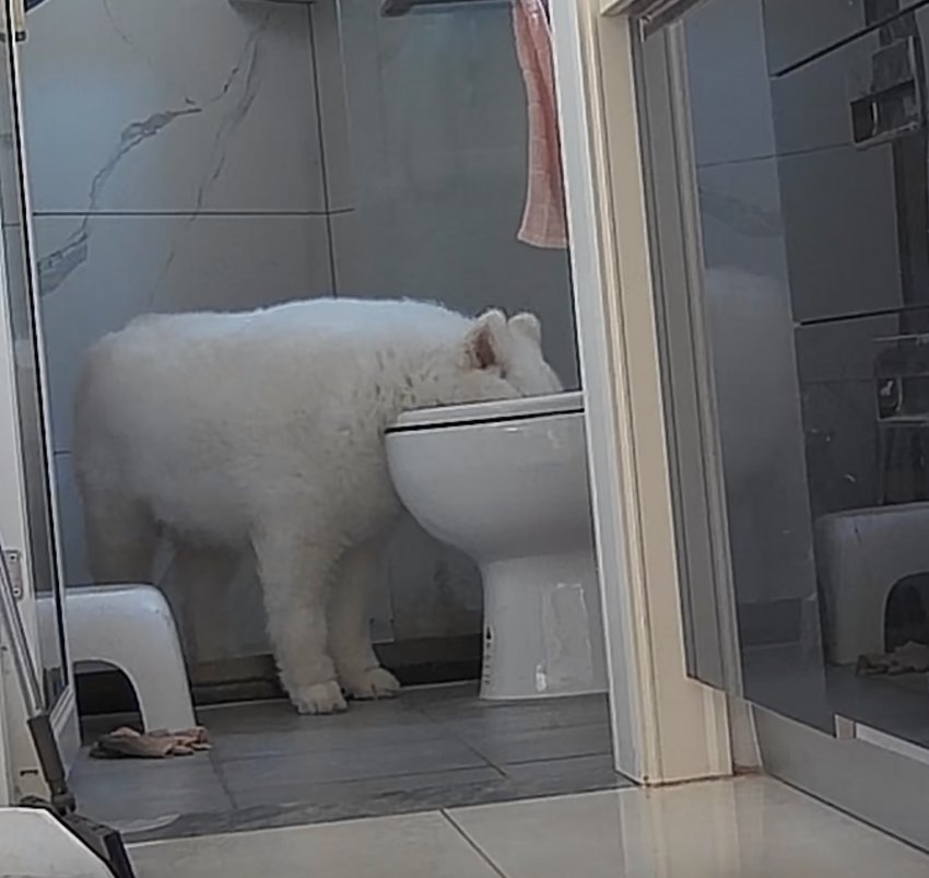 마심 이미지