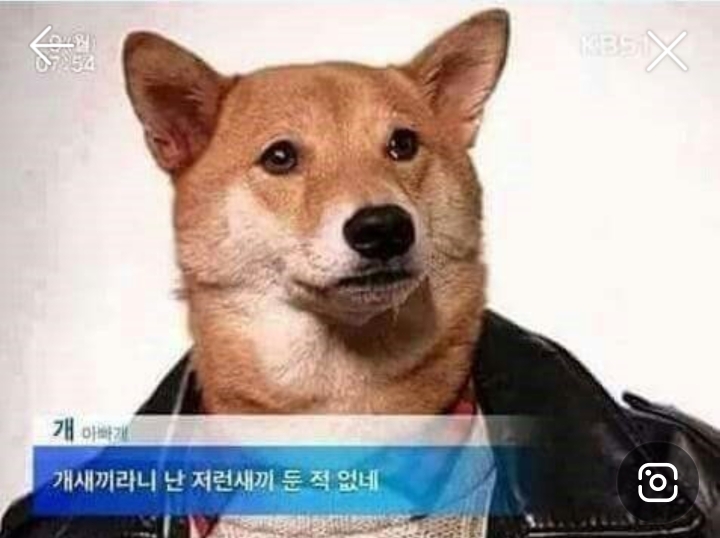 비밀 이미지