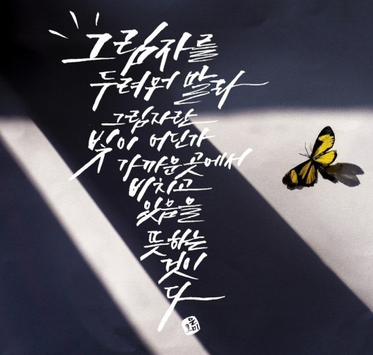홀로 이미지
