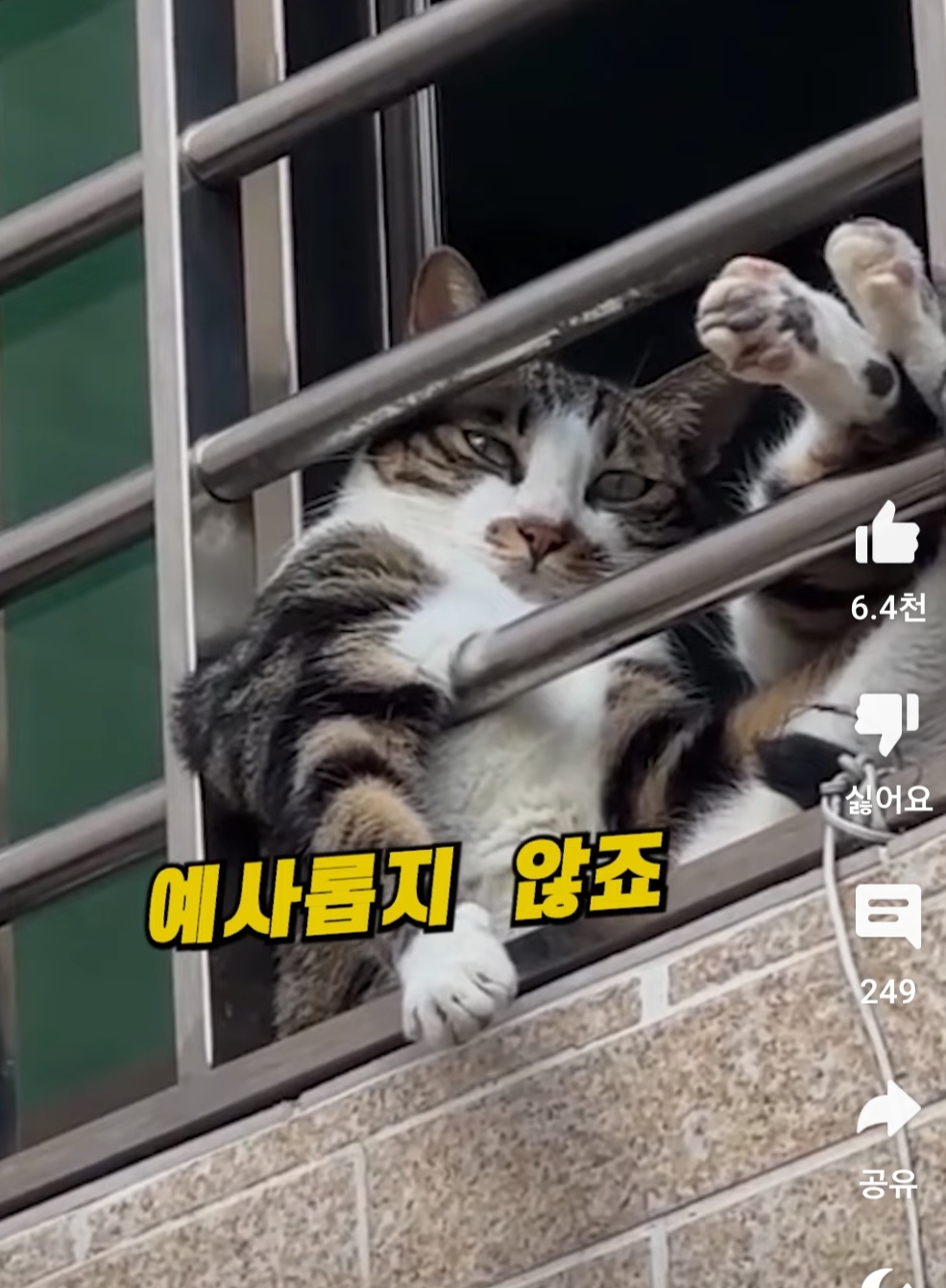 이*애 이미지