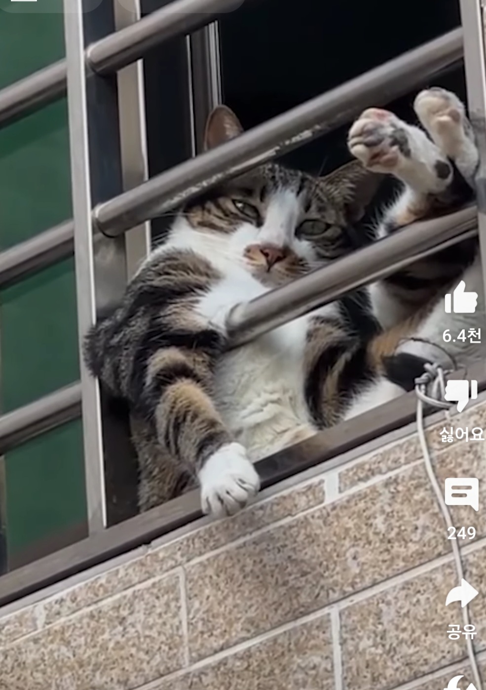 이*애 이미지