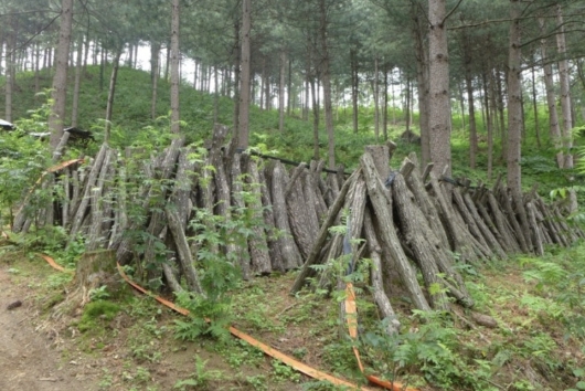산방환담 이미지