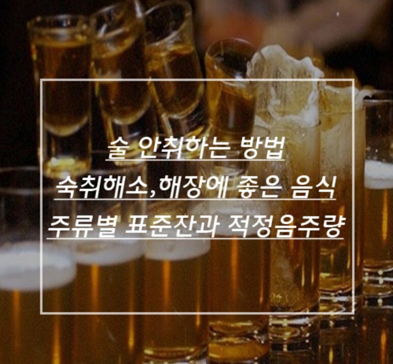 주(酒)량 이미지
