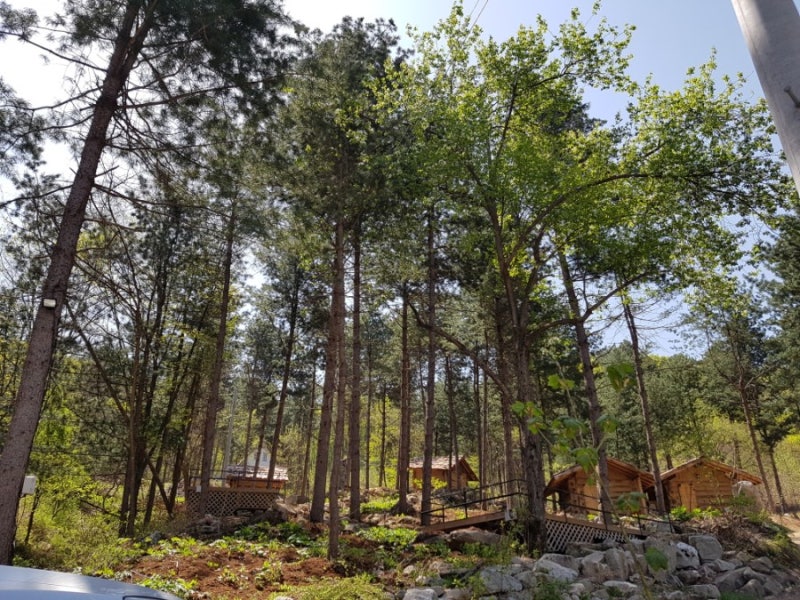 산방환담 이미지