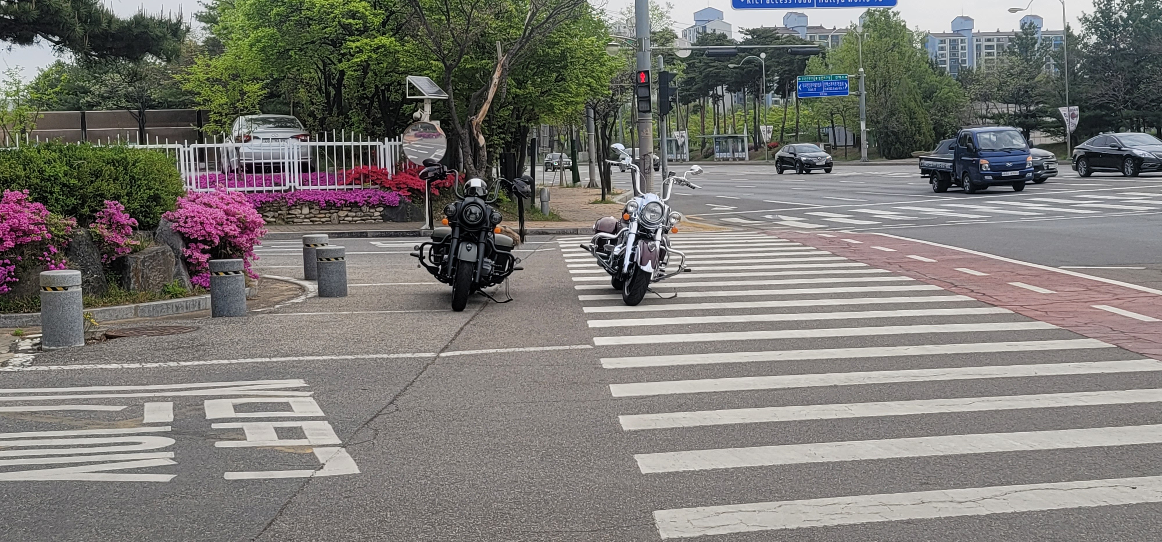 롯데리아김포통진점 이미지