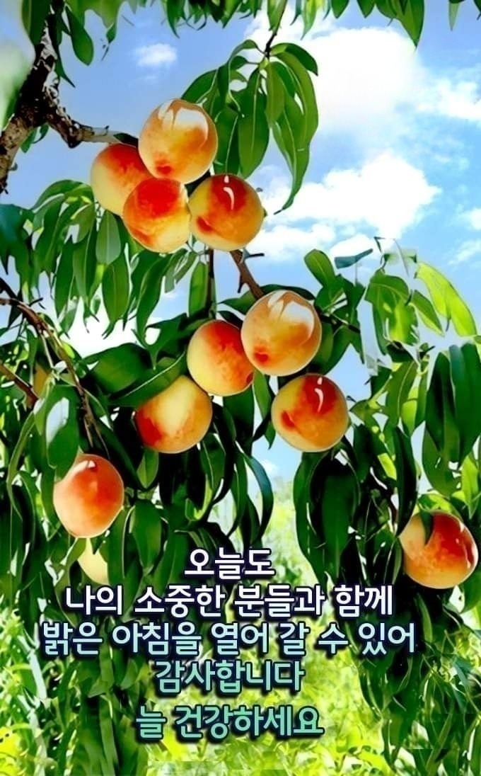 산그린 이미지