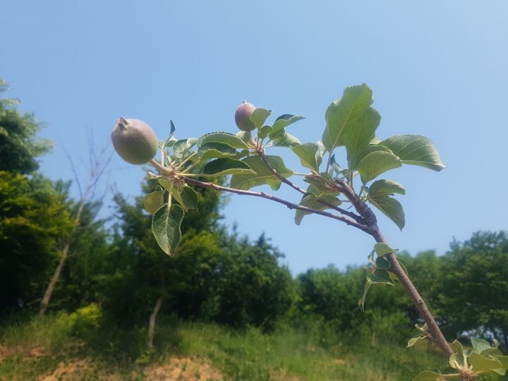 온(ON)푸드 이미지
