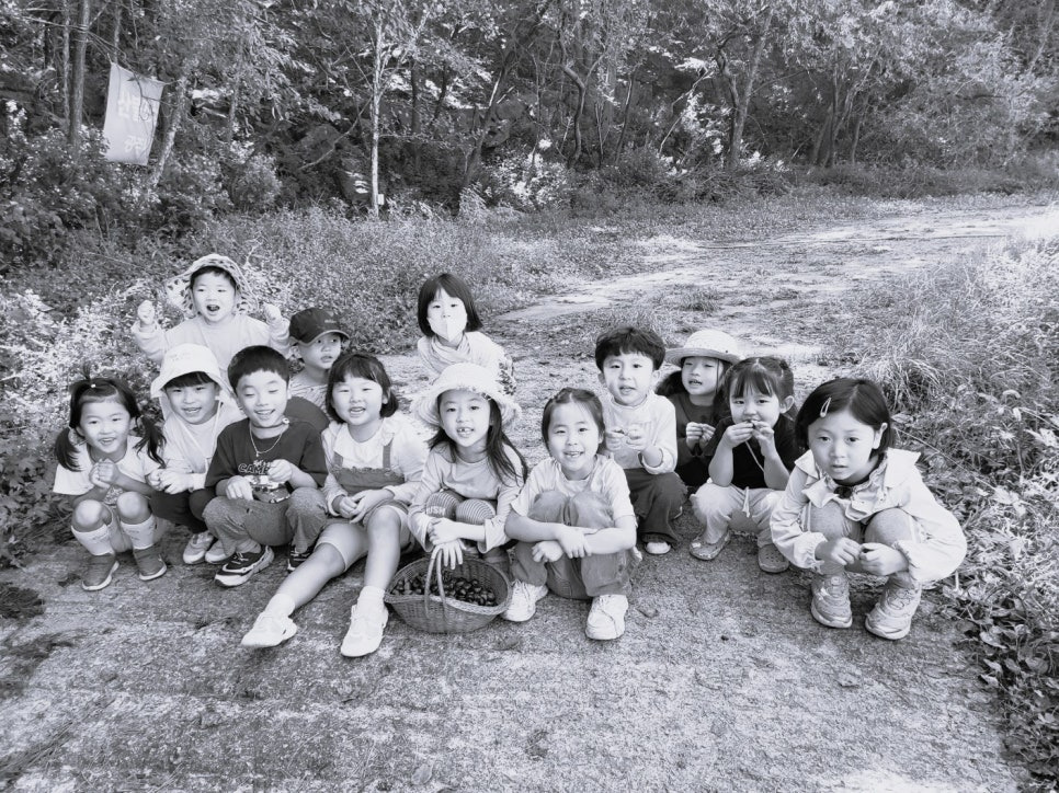 푸른숲어린이집 이미지