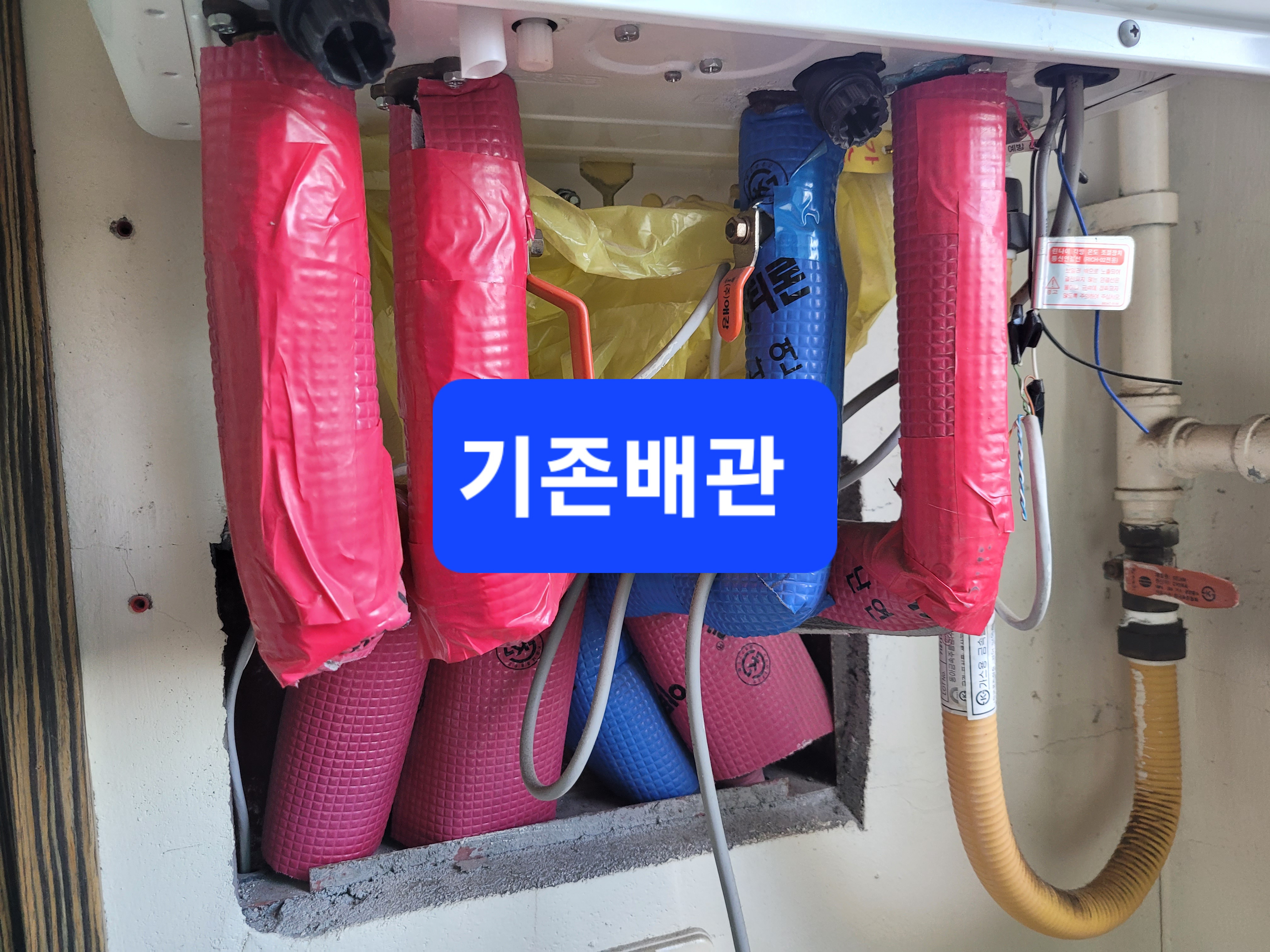 루이젠 이미지