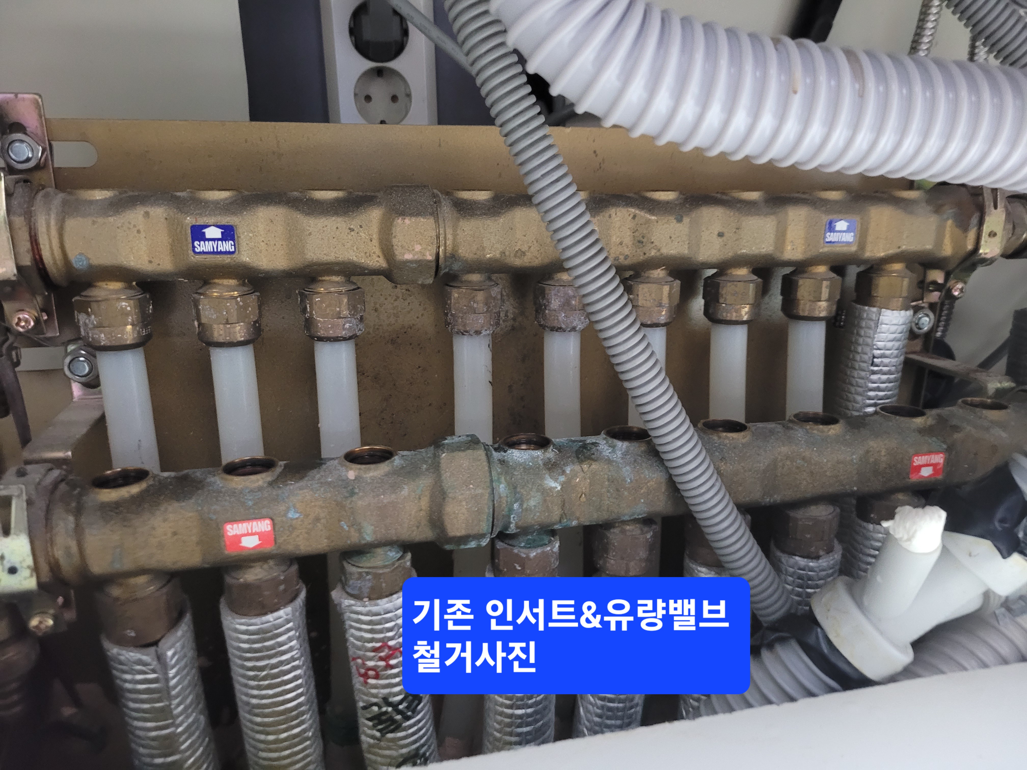 루이젠 이미지