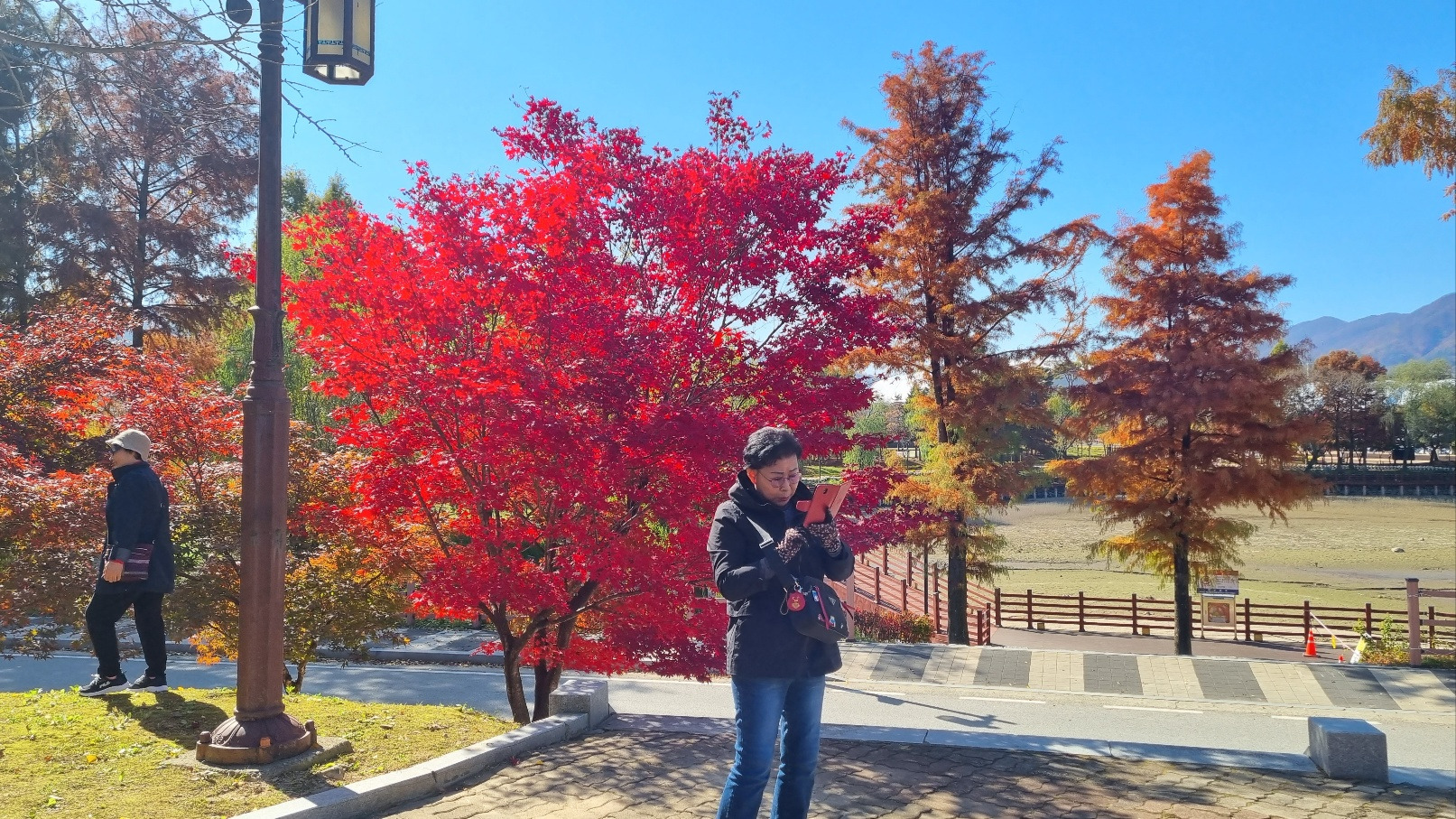 한국건강복지진흥회 이미지