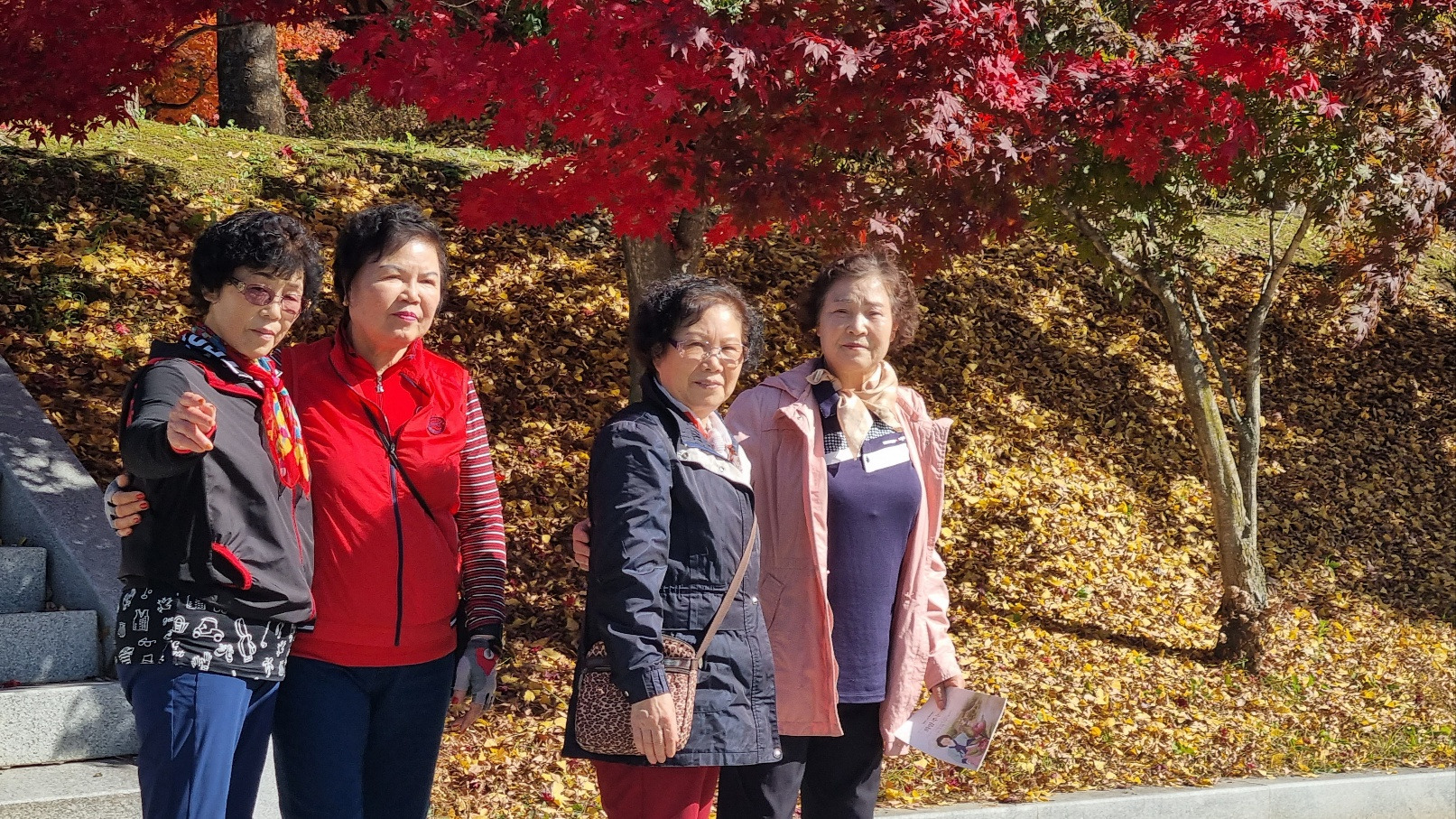 한국건강복지진흥회 이미지
