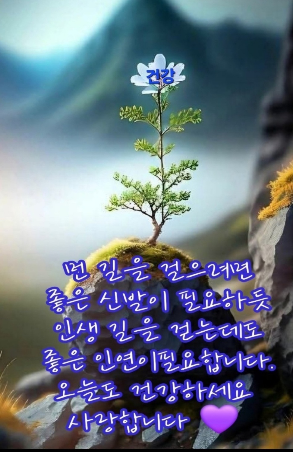 느낌 이미지