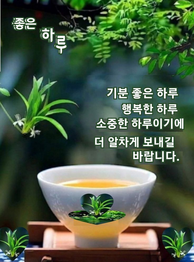 봄이 이미지