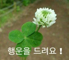 크로버 이미지
