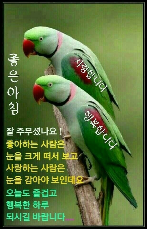 시천교 이미지