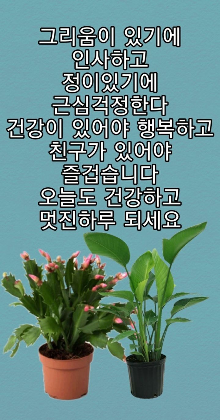 시천교 이미지
