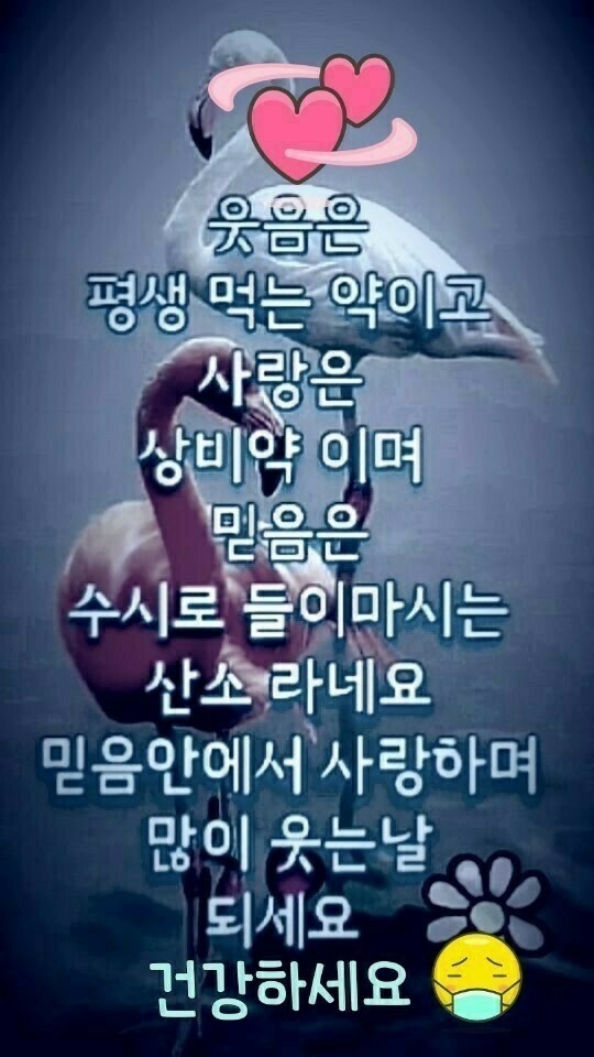 시천교 이미지
