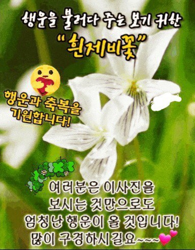 도매유통 이미지