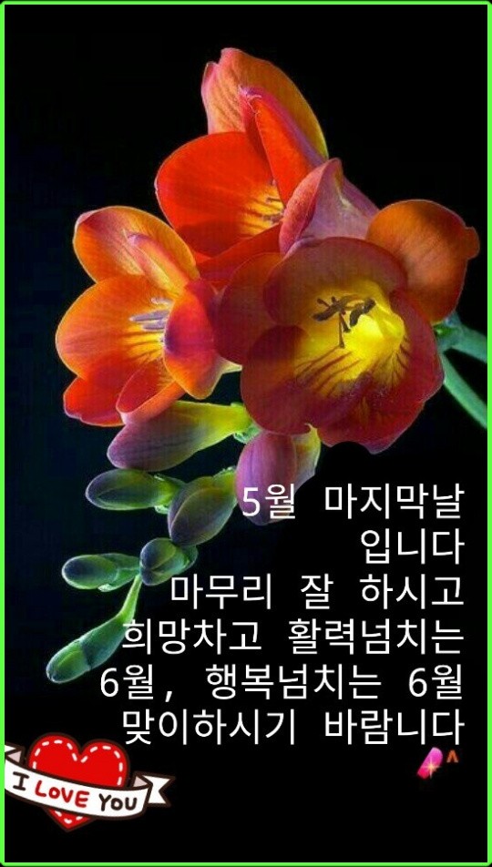 도매유통 이미지