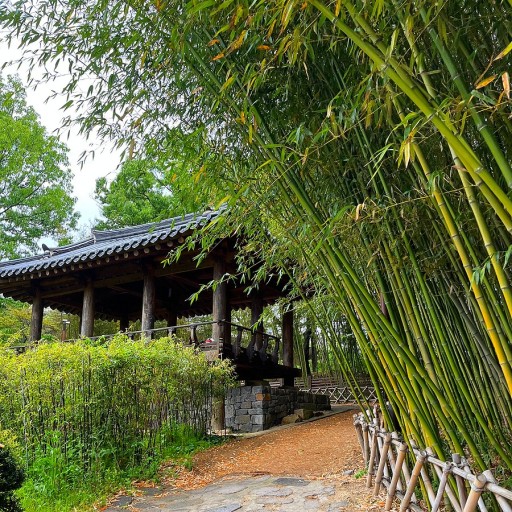 국제교육연구원 이미지