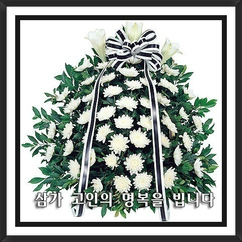 박연순 이미지