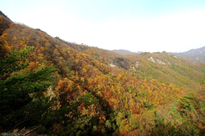 구봉산 이미지