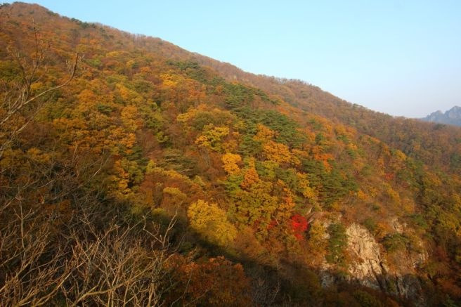 구봉산 이미지