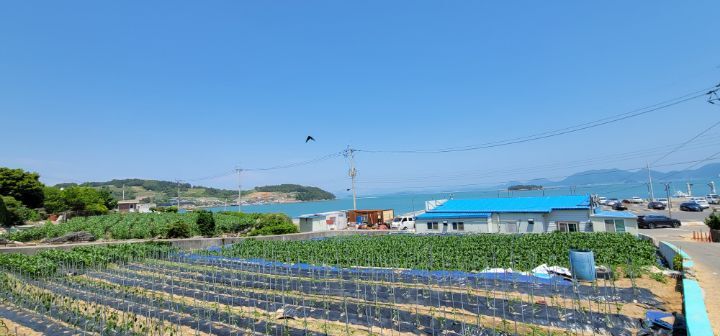 백야식당 이미지