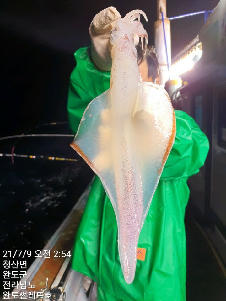 썬레드호 이미지