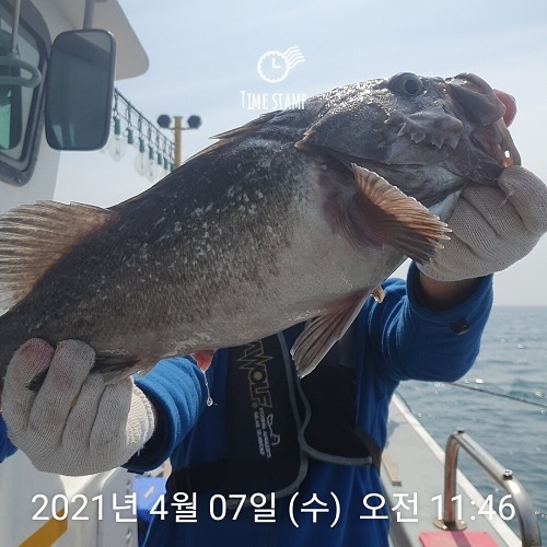 하온호 이미지
