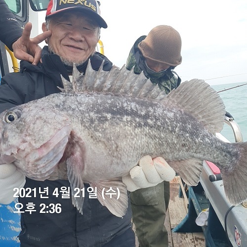 하온호 이미지