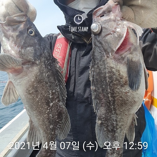 하온호 이미지