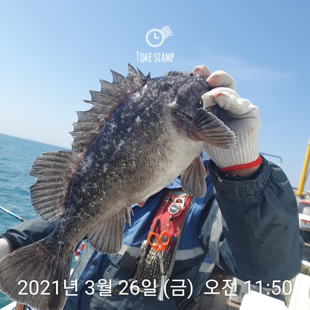 하온호 이미지