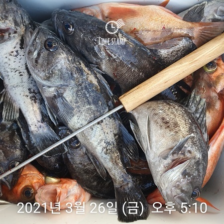 하온호 이미지