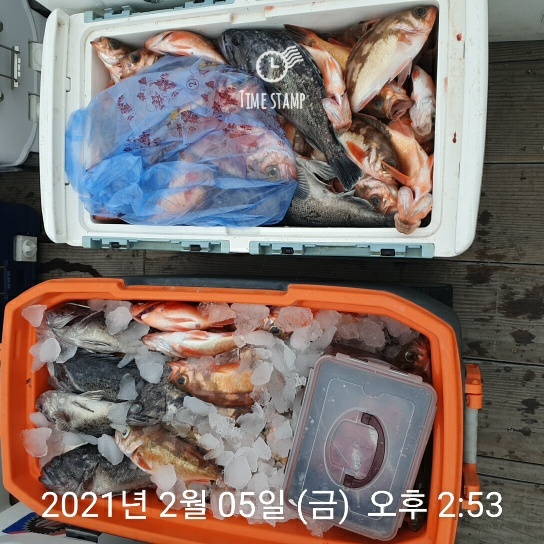 하온호 이미지
