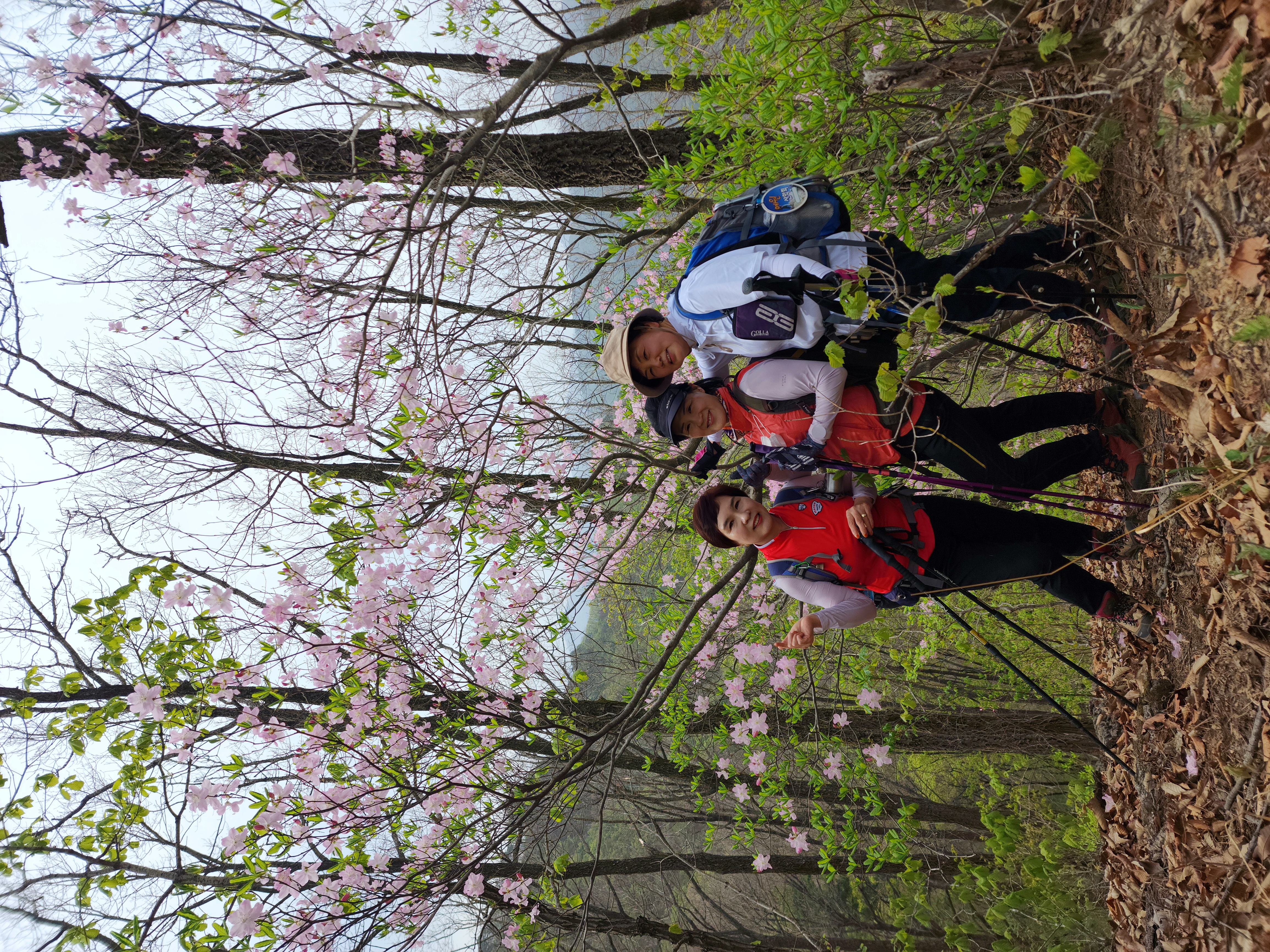 산예원 이미지